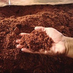 Vermicompost