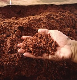 Cocopeat