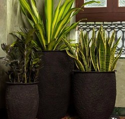 Corporate gardening order
