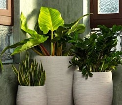 Corporate gardening order
