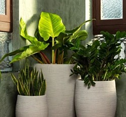 Corporate gardening order
