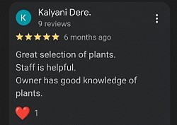 Happy Customer Review