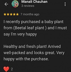 Happy Customer Review