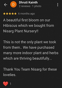 Happy Customer Review