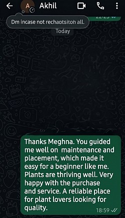 Happy Customer Review
