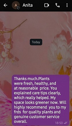 Happy Customer Review